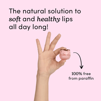 Strawberry Lip Balm - BeeHealer