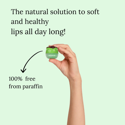 Aloe Vera Lip Balm